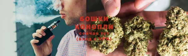 шишки Лихославль